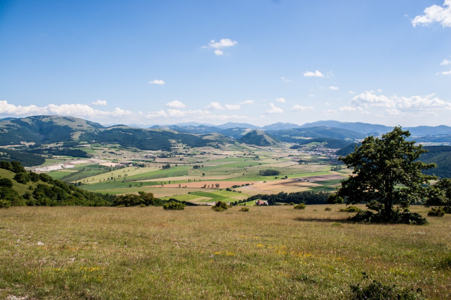 Immagine evento