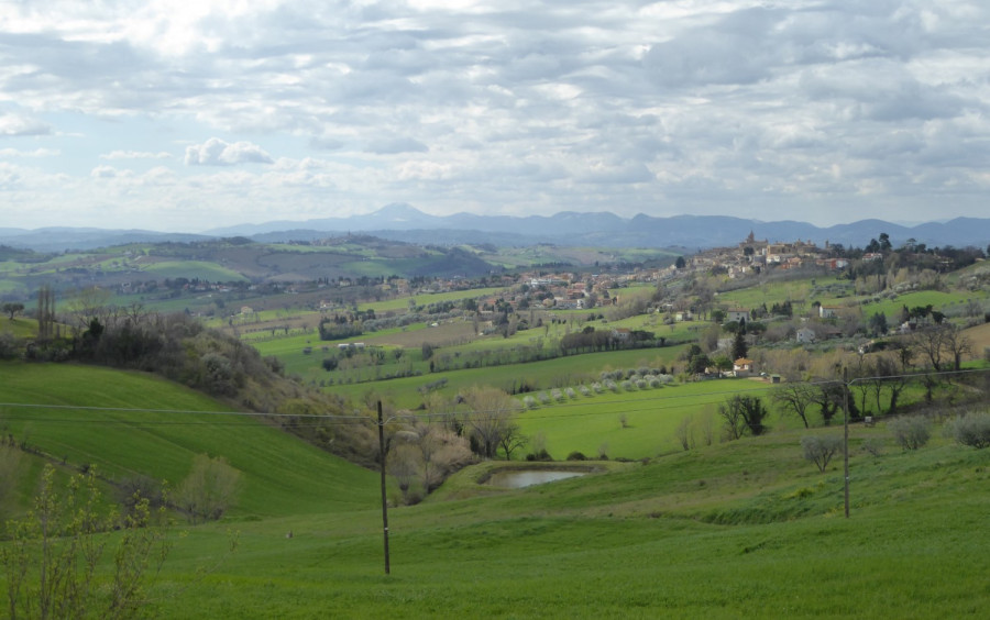 Immagine evento
