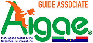 logo aigae