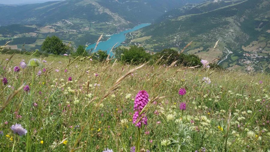 Il Grande Anello dei Sibillini