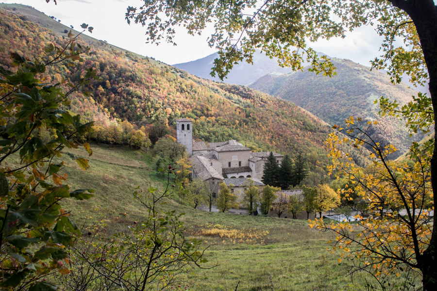 Monastero Fonte Avellana